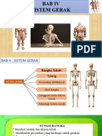 Bab Iv Sistem Gerak