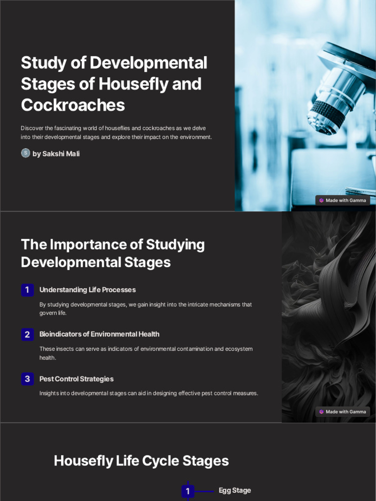 Housefly and Cockroach Development Stages | PDF | Science & Mathematics
