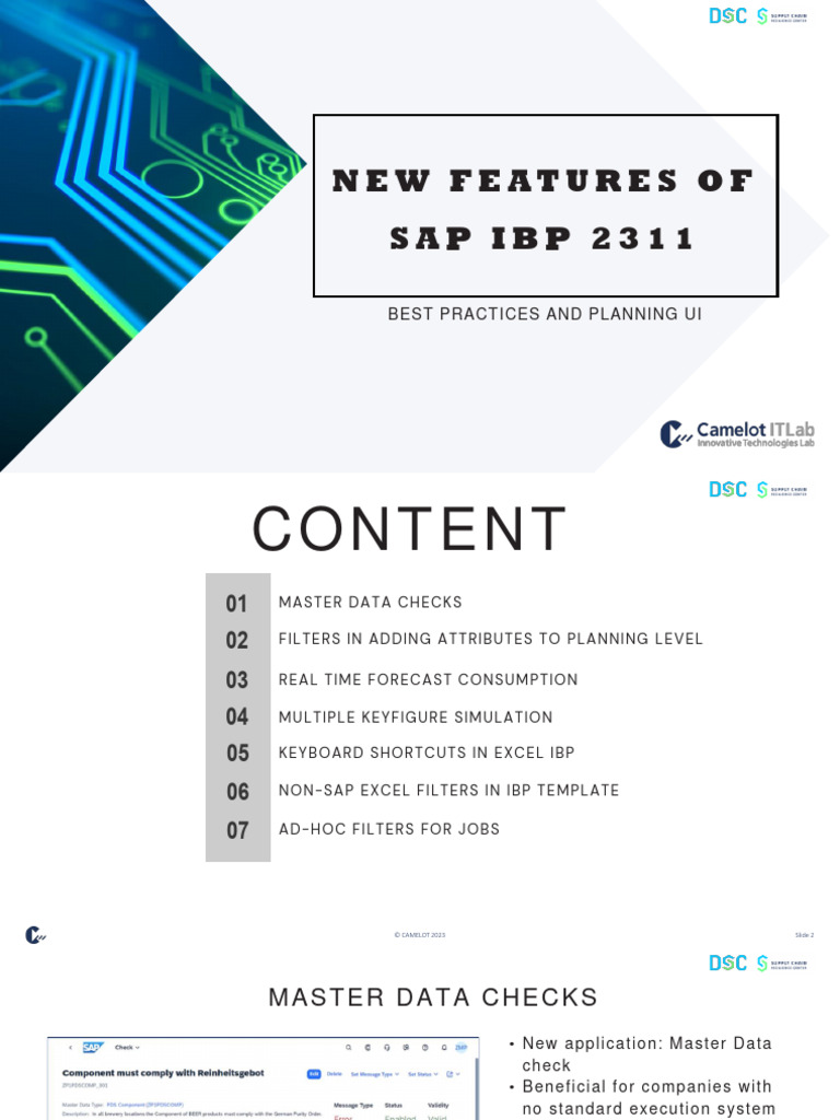 SAP IBP 2.3.1 New Features Overview | PDF