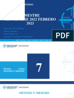 División Celular - MITOSIS Y MEIOSIS