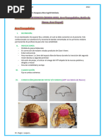 Corona Ansa y Banda Ansa | PDF | Odontología | Diente