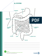 1025 OstomyCare One-Sheet AnatomyGuide MM Final LoRes