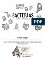 Cuadro de Bacterias (Cat 1)