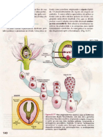 Biologia 2-continuação