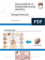 4.5 Transcripcion y Regulación Eucariota