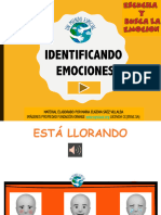 Identificacion Emociones 2