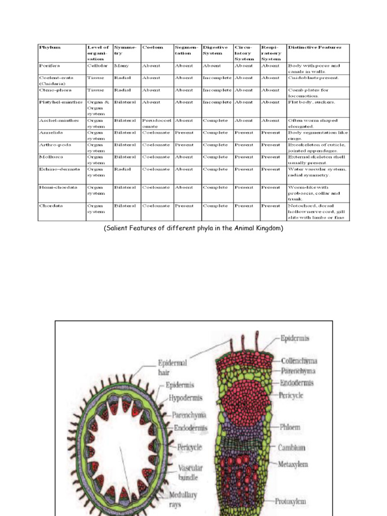 HOW TO LABEL DIAGRAM IN BIOLOGY visual data 4