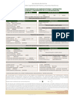 Certificado Ramses PDF