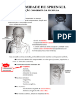 Deformidade de Sprengel - Ok PDF