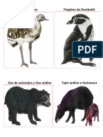 Animales Peligro Extincion