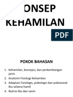 Konsep Kehamilan