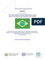 Climate Change Concept of Brazil