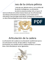 Presentacion Articulaciones