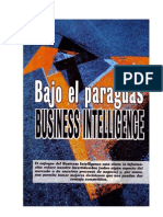 Bussines Intelligence Bajo Paraguas