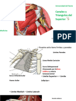 Canales y Triangulos Del MS