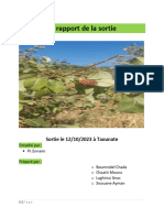 Rapport de Sortie Taounate