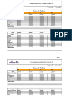 Auditoria 5S 2023