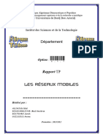 249161643 Rapport Gsm Gprs Et Gps