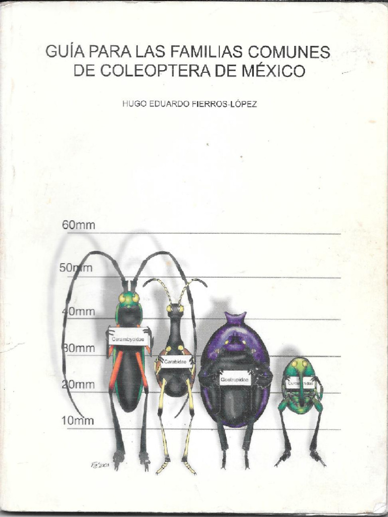 gu-a-de-familias-comunes-de-coleoptera-de-m-xico-pdf