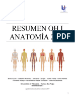 Resumen Anatomía UV