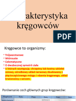 Kręgowce