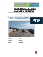 Informe Mensual Ambiental Junio Lomas