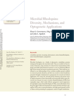 Microbial Rhodopsins - Diversity, Mechanisms, and Optogenetic Applications