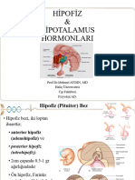 7) Hi̇potalamus&hipofiz Bezi 22