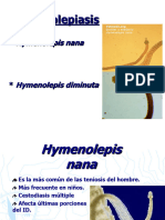 3 Himenolepiosis