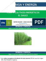 Tema 4.4 Biomasa Cultivosenergeticos Sauce