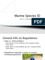 Marine Species ID2