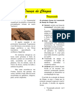 Doença de Chagas Resumo