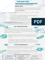 Infografia Microorganismos