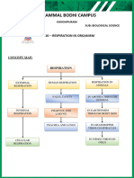 C7 Respiration