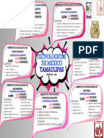 Mapa Conceptual (Tecnologicos de Tamaulipas)