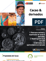 INFO DE AUTORIA DE SSE - MIDAGRI 2023perfiles de Mercado Derivados de Cacao