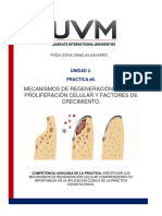 Práctica 9 de Patología