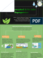 Mapa Conceptual de Los Ciclos Biogeoquímicos