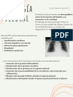Patología Pleural Resumen