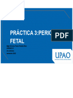 Práctica Periodo Fetal