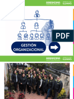 Presentación Gestion Organizacional 2020 - 021