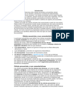 informe comparativo isai