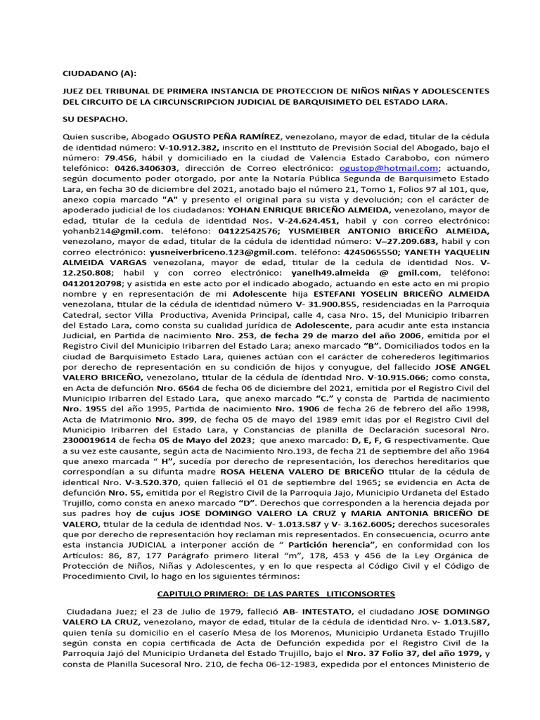 Libelo de Demanda de Partición | PDF