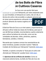 Guía para El Cultivo en Bolis de Fibra de Coco.: .: Hydro Environment .: Hidroponia en Mexico