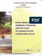 Plan Maestro Rfpmca Final 2010