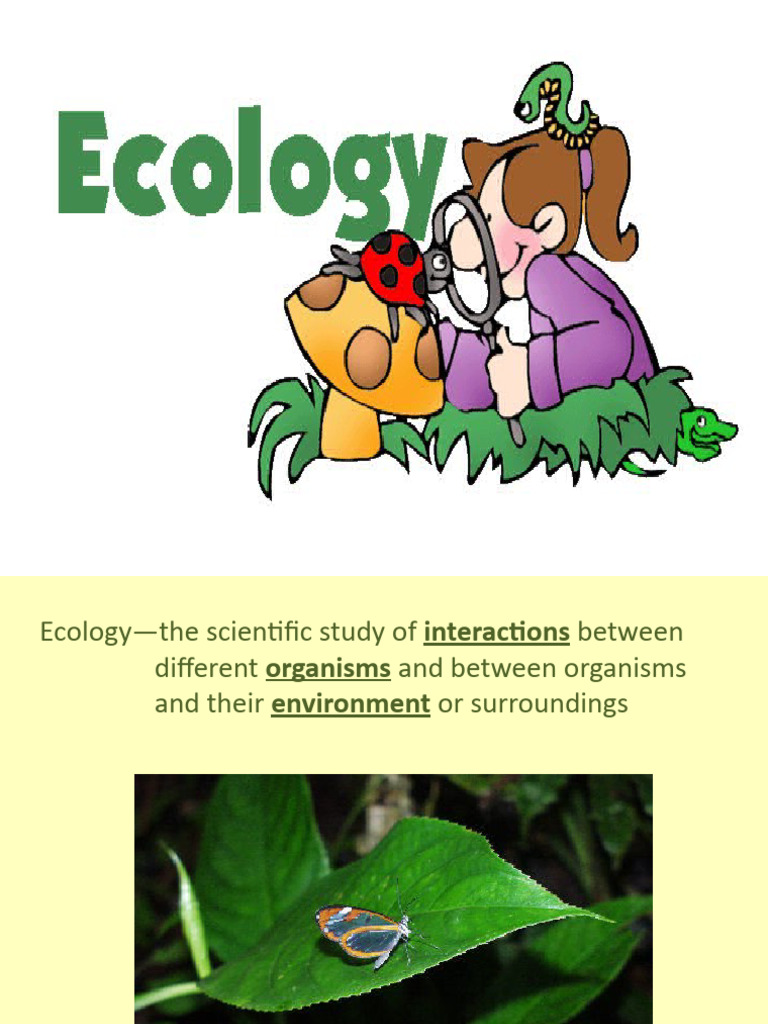 Understanding Ecosystem Interactions | PDF