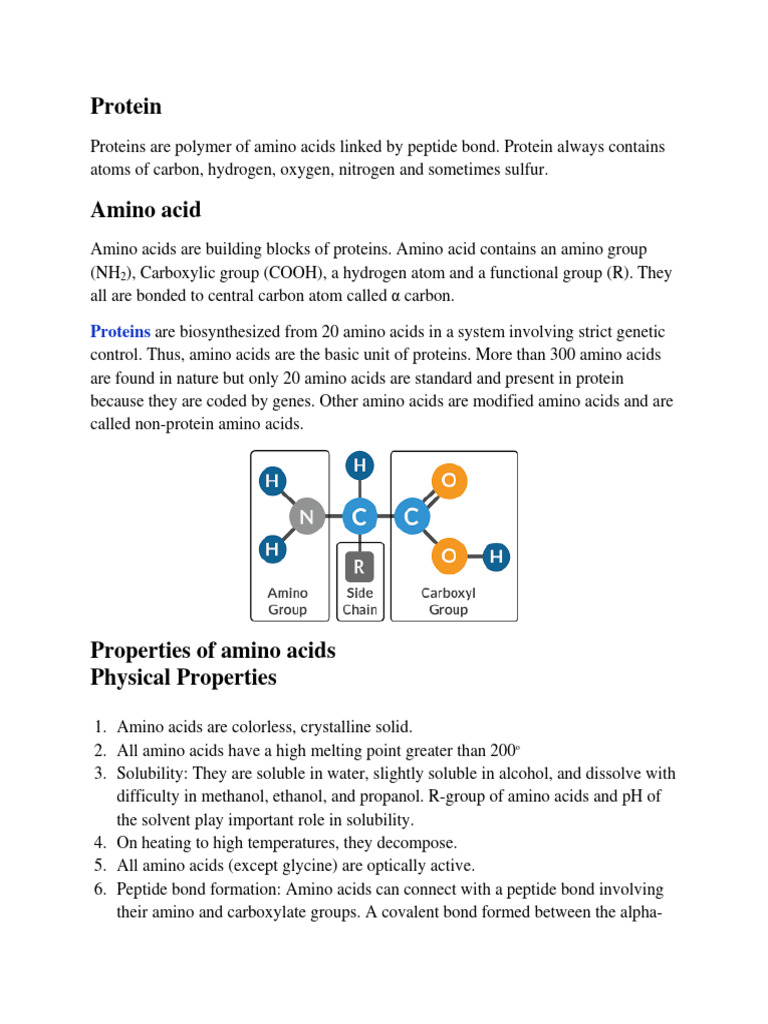Amino Acid | PDF