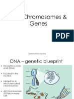 Genetics (DNA)
