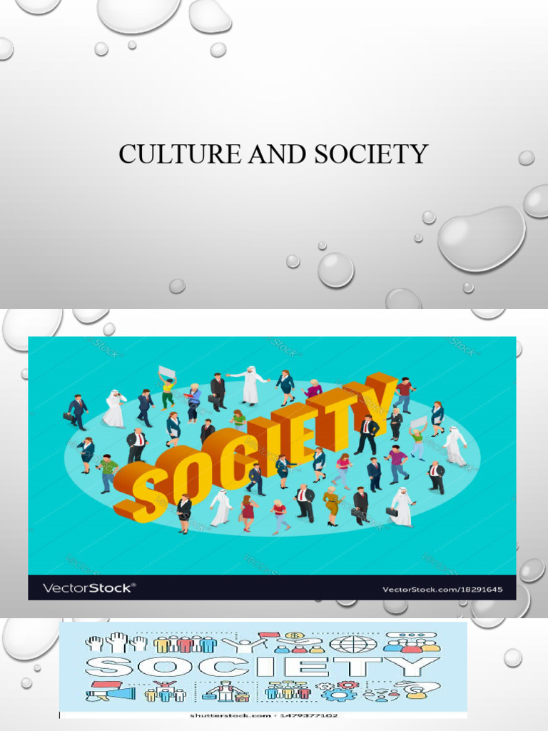 CHAPTER 2 Culture and Society | PDF | Society | Attitude (Psychology)