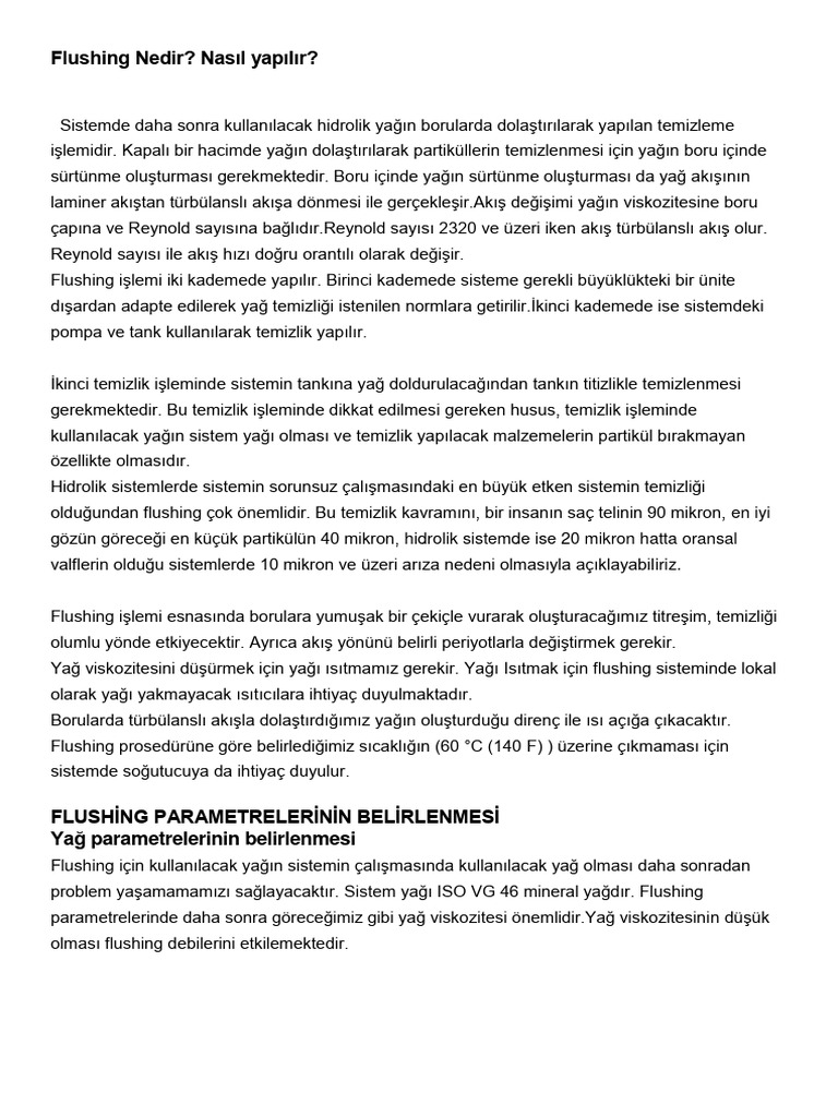 Flushing Nedir PDF